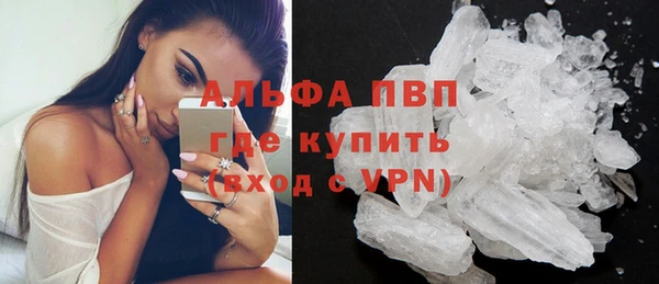 стаф Арсеньев