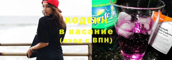 стаф Арсеньев