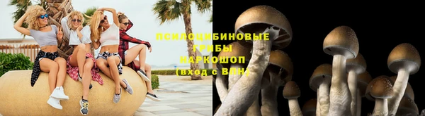 бошки Армянск