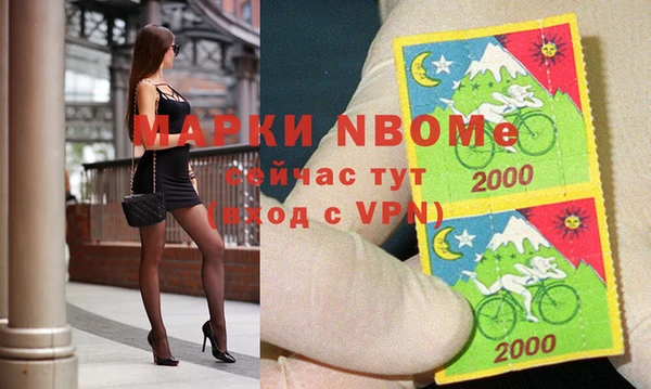 стаф Арсеньев