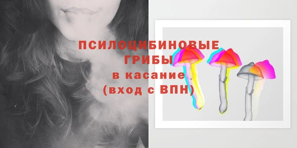бошки Армянск