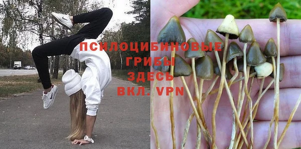 стаф Арсеньев