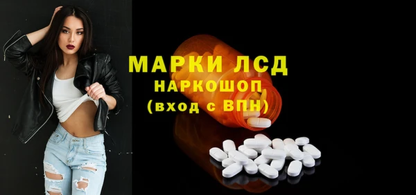стаф Арсеньев