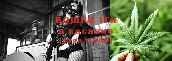стаф Арсеньев